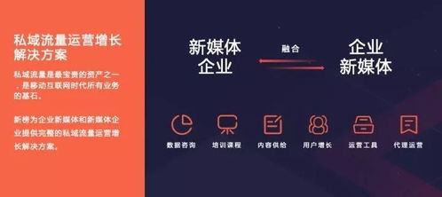 新榜2019內容創業年度報告 洞見行業趨勢，賦能商業增長