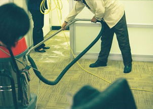 專注企業(yè)辦公室保潔，成都香雅麗保潔服務(wù) 專業(yè)塑造潔凈辦公空間